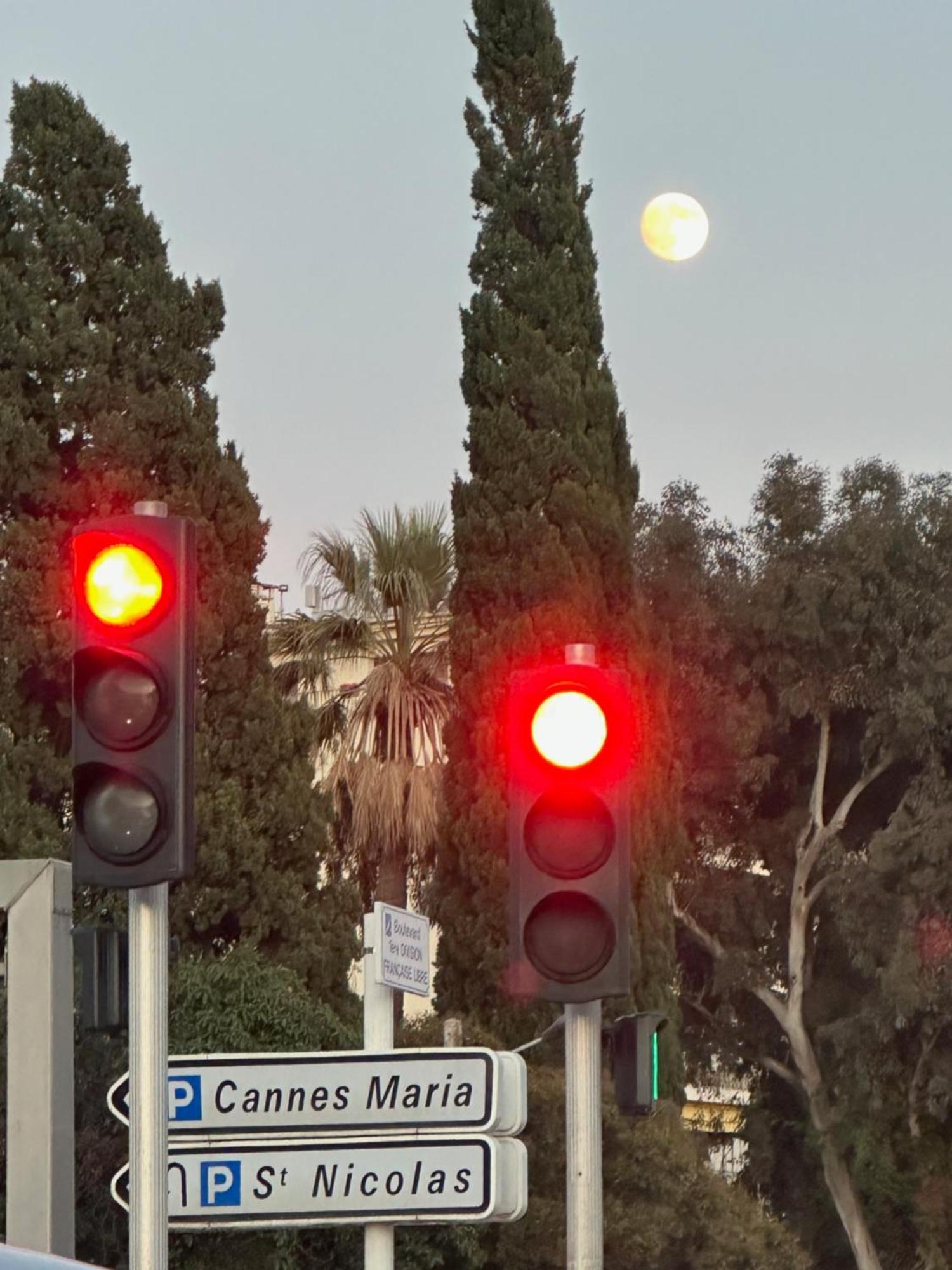 Cannes Centre 5 Minutes De La Mer Dış mekan fotoğraf